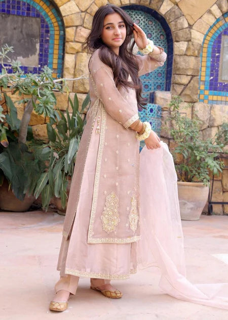 EMBROIDERED CHIFFON STITCHED 3 PIECE DRESS