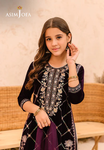 EMBROIDERED VELVET 3 PCS DRESS