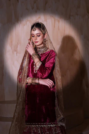 EMBROIDERED VELVET STITCHED 3 PIECE GARARA DRESS