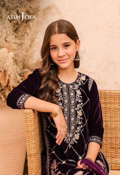 EMBROIDERED VELVET 3 PCS DRESS