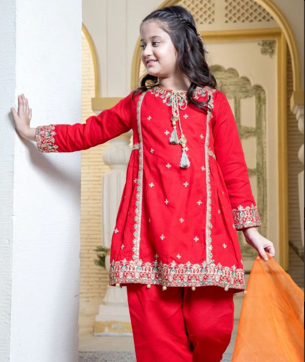 3 Piece Khaddar Festive/Party Wear Dress