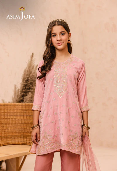 EMBROIDERED VELVET 3 PCS DRESS