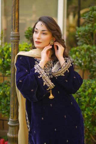 EMBROIDERED VELVET STITCHED 3 PIECE DRESS