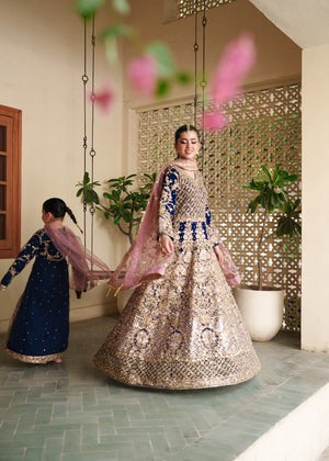 Royal Dusk – Navy Blue Embroidered Floor-Length Ensemble