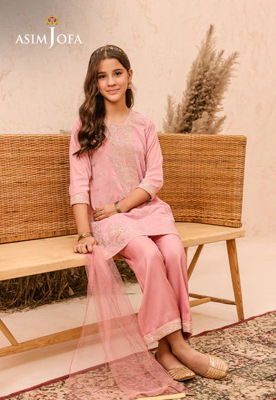 EMBROIDERED VELVET 3 PCS DRESS