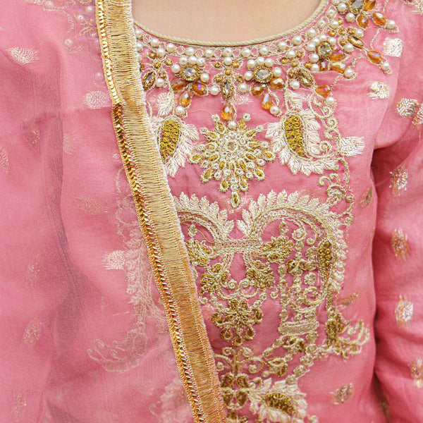 EMBROIDERED STITCHED 3 PIECE KIDS GARARA DRESS