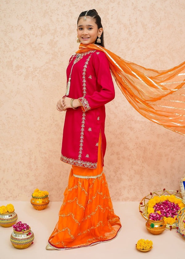 Pink Embroidered Raw Silk 3-Piece Set with Organza Dupatta – Wide-Leg Gharara