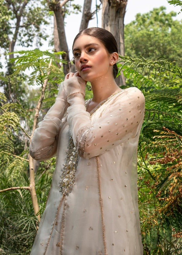 Ethereal White Embroidered Organza 4-Piece Ensemble
