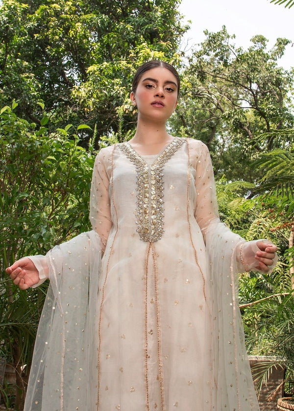 Ethereal White Embroidered Organza 4-Piece Ensemble
