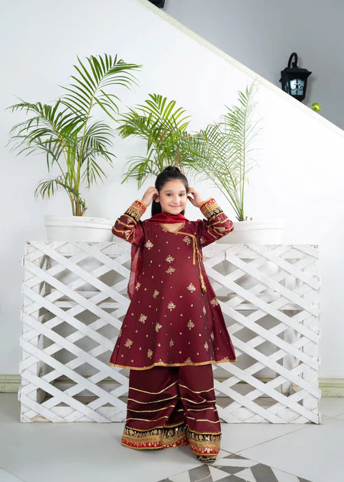 EMBROIDERED ANGRAKHA 3 PIECE KIDS DRESS