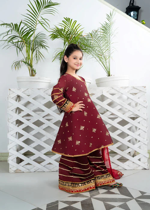 EMBROIDERED ANGRAKHA 3 PIECE KIDS DRESS