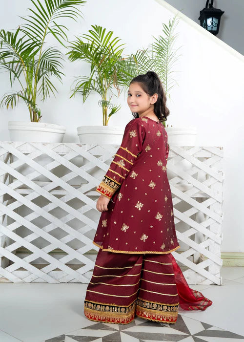 EMBROIDERED ANGRAKHA 3 PIECE KIDS DRESS