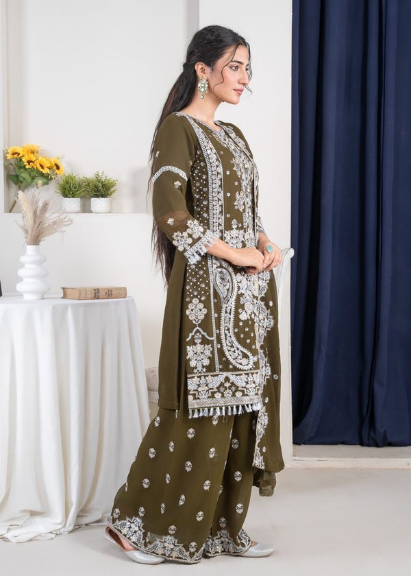 Silver Radiance Chiffon Ensemble