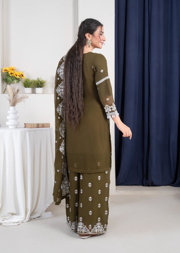 Silver Radiance Chiffon Ensemble