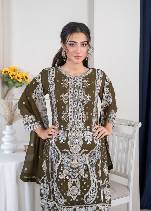 Silver Radiance Chiffon Ensemble