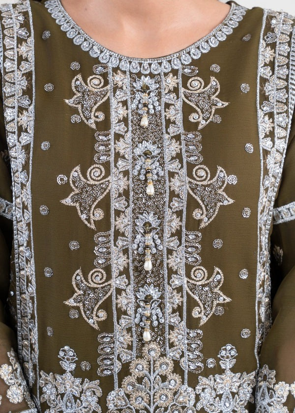 Silver Radiance Chiffon Ensemble