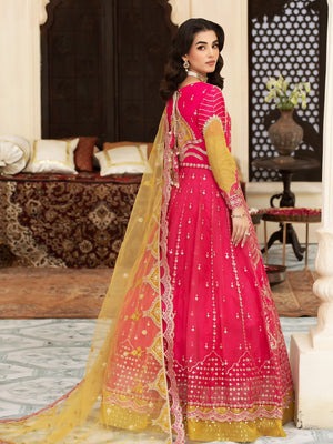 Blush Pink Organza Pishwas with Raw Silk Trousers