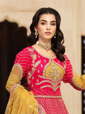 Blush Pink Organza Pishwas with Raw Silk Trousers