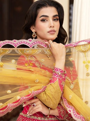 Blush Pink Organza Pishwas with Raw Silk Trousers