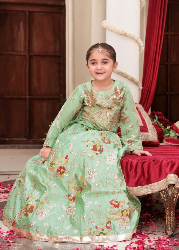 Radiant Elegance – Embroidered Organza Kurti & Tefeta Silk Lehenga Ensemble