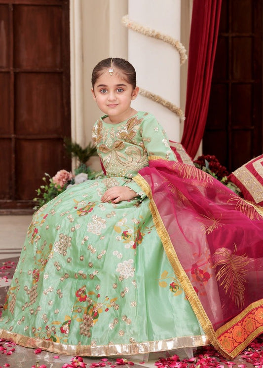 Radiant Elegance – Embroidered Organza Kurti & Tefeta Silk Lehenga Ensemble