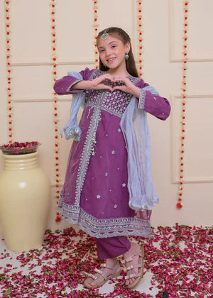 EMBROIDERED ORGANZA STITCHED 3 PIECE DRESS