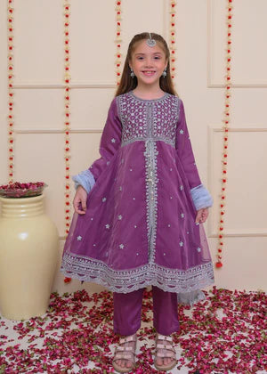 EMBROIDERED ORGANZA STITCHED 3 PIECE DRESS