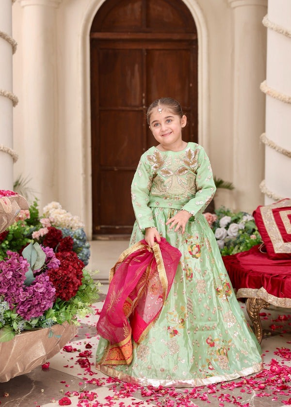 Radiant Elegance – Embroidered Organza Kurti & Tefeta Silk Lehenga Ensemble