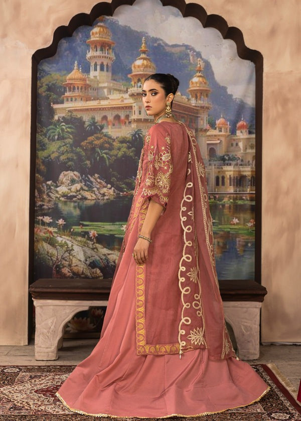 Embellished Organza Long Shirt with Silk Pishwaas & Dupatta