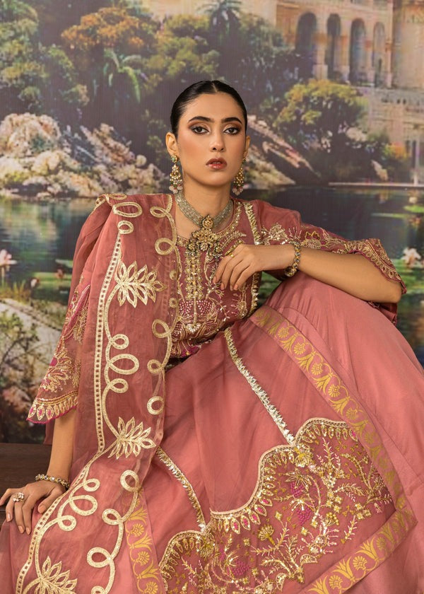 Embellished Organza Long Shirt with Silk Pishwaas & Dupatta