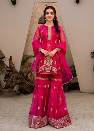 Pink Embroidered Organza Flared Gharara 3-Piece Girls Set