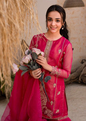 Pink Embroidered Organza Flared Gharara 3-Piece Girls Set