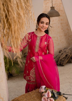 Pink Embroidered Organza Flared Gharara 3-Piece Girls Set