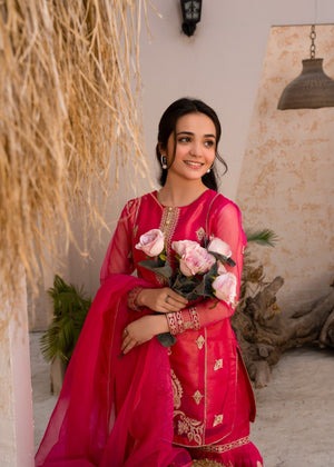 Pink Embroidered Organza Flared Gharara 3-Piece Girls Set