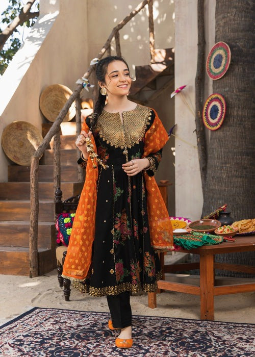 Black Embroidered Cotton 3-Piece Set – Flared Pishwas with Straight Trouser & Organza Dupatta