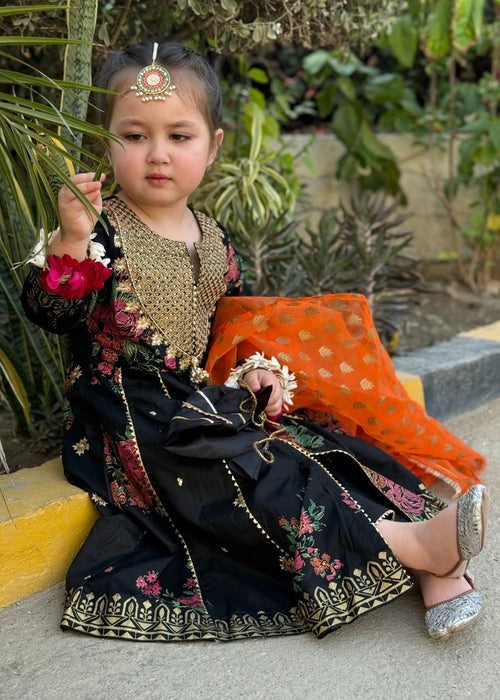 Black Embroidered Cotton 3-Piece Set – Flared Pishwas with Straight Trouser & Organza Dupatta