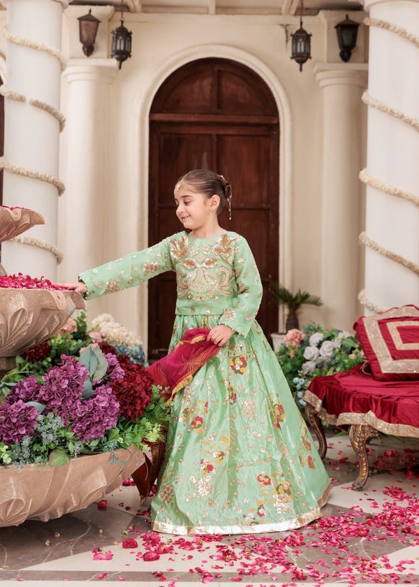 Radiant Elegance – Embroidered Organza Kurti & Tefeta Silk Lehenga Ensemble